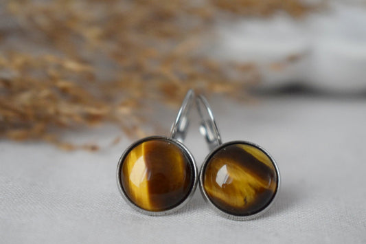 Tigerauge-Ohrhänger mit 12 mm runden Edelstahl-Ohrringen mit Hebelverschluss, Edelstein-Schmuckgeschenk für sie, Bestes Muttertagsgeschenk